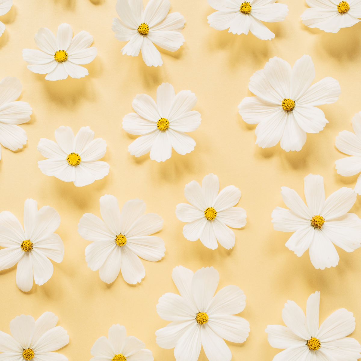 Flower Extracts