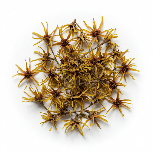 WITCH HAZEL EXTRACT