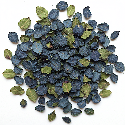 BLUEBERRY LEAF EXTRACT
