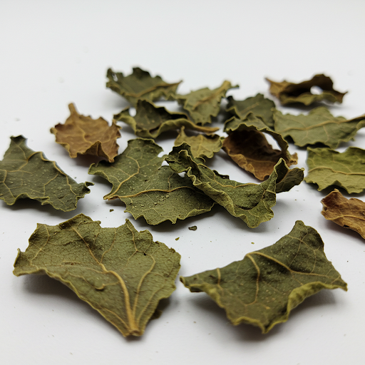 PATCHOULI LEAF EXTRACT