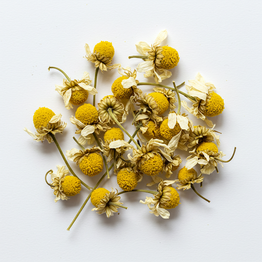 CHAMOMILE EXTRACT