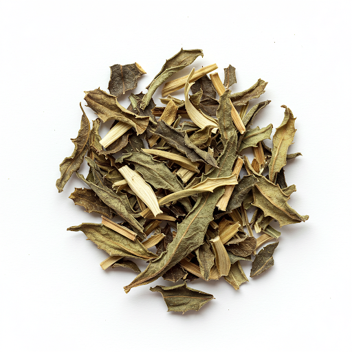 ECHINACEA EXTRACT