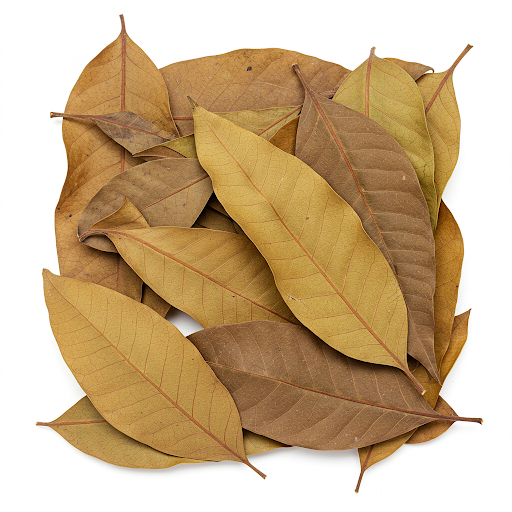 MANGO LEAF EXTRACT