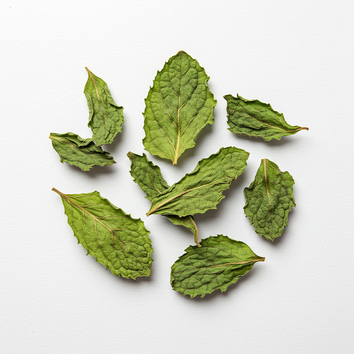 PEPPERMINT EXTRACT
