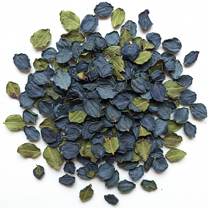 BLUEBERRY LEAF EXTRACT