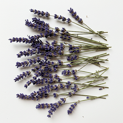LAVENDER EXTRACT