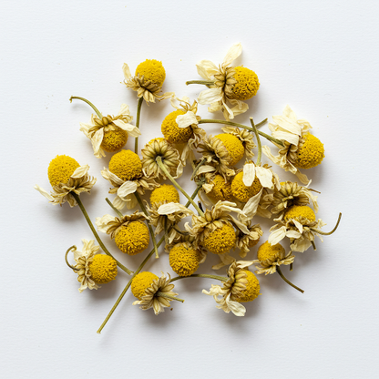CHAMOMILE EXTRACT