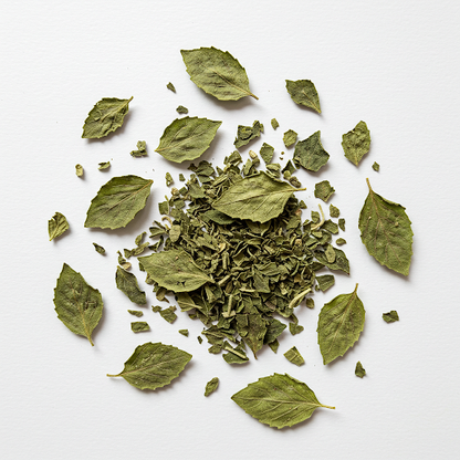 BASIL EXTRACT
