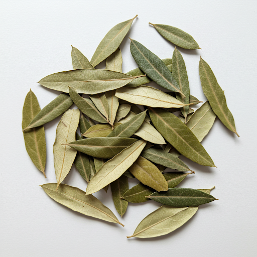 OLIVE LEAF EXTRACT
